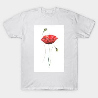 poppies, poppies flowers, watercolor flowers, red flowers, home decor, nursery T-Shirt